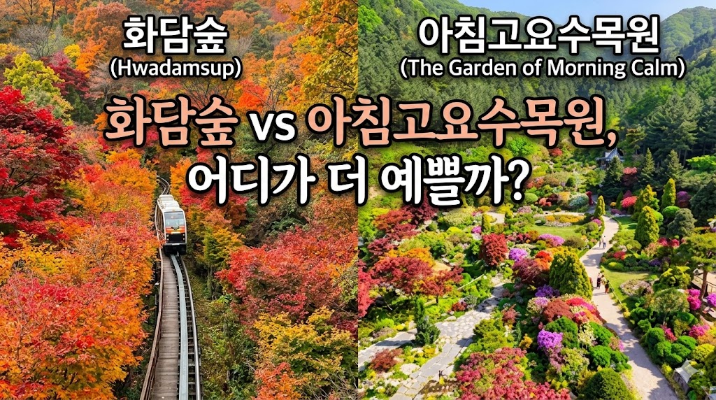 화담숲 vs 아침고요수목원