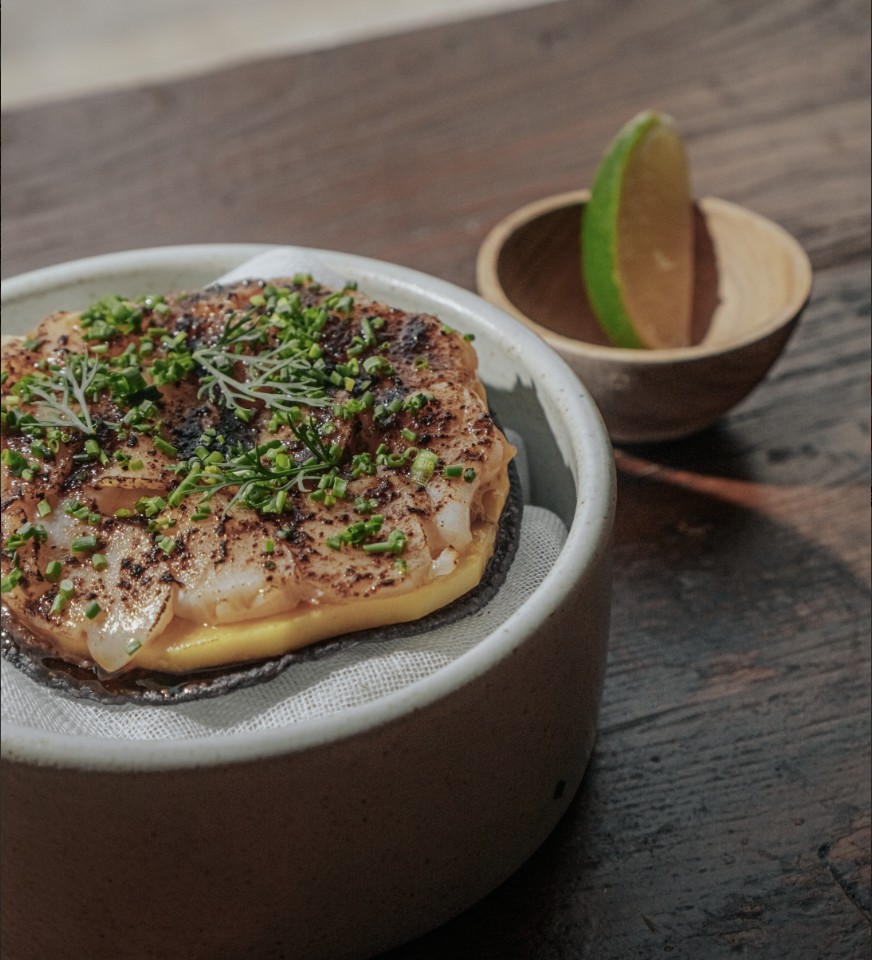 성동구 파인다이닝 타코리아 엘몰리노, 서울에서 진짜 멕시코를 맛보다