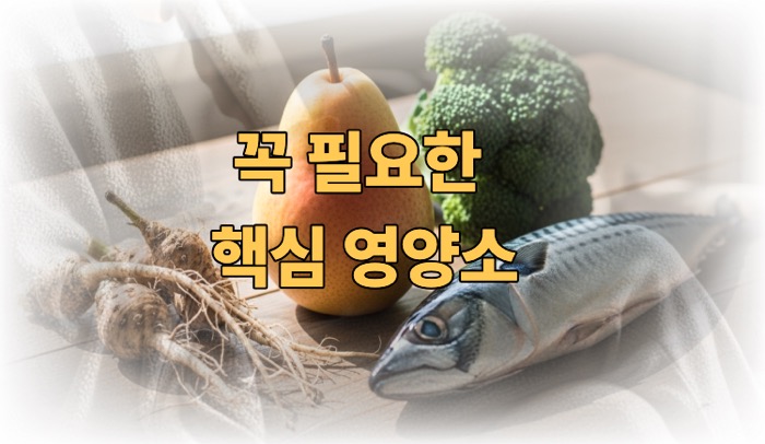 폐에 좋은 핵심영양소