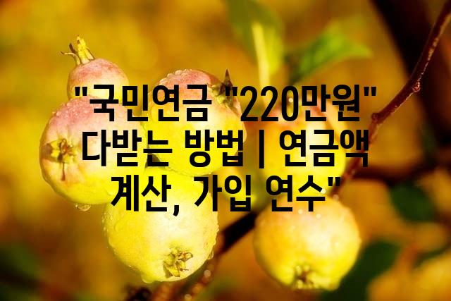 랜덤120