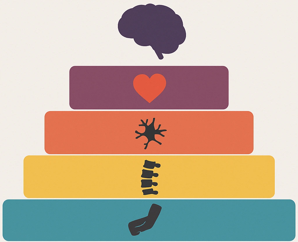 손목·팔꿈치·경추·말초신경·심장·뇌 순서로 원인을 계층화