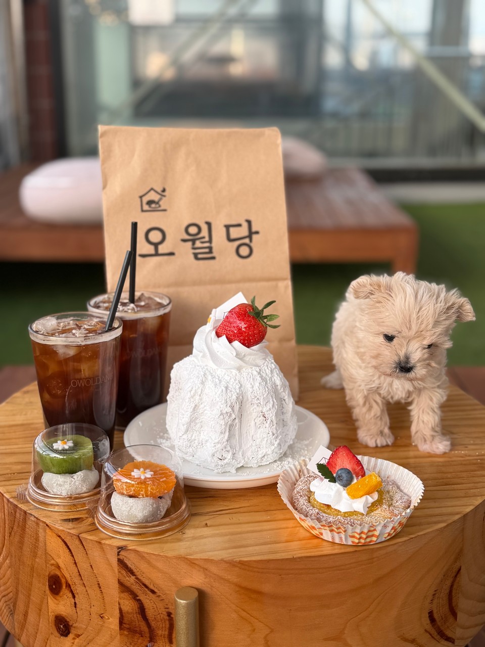 오월당