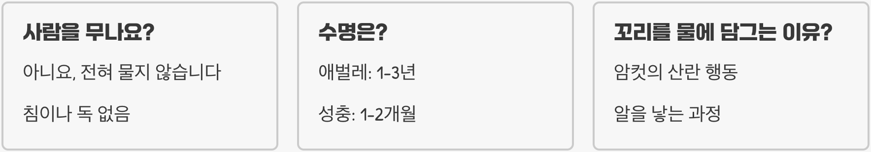 왕잠자리 비행 능력 &ndash; 하늘의 사냥꾼이라 불리는 이유