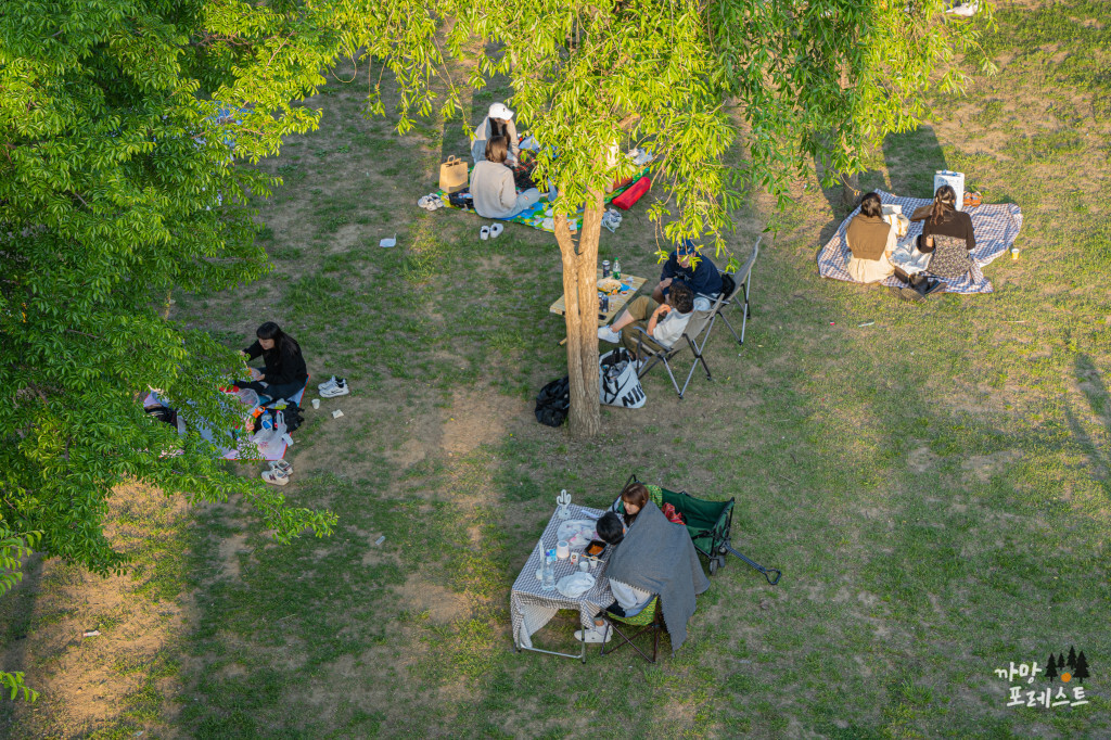 양화 한강공원 나들이