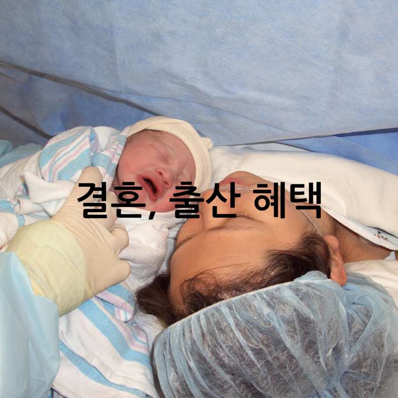 지역별 결혼육아지원대책