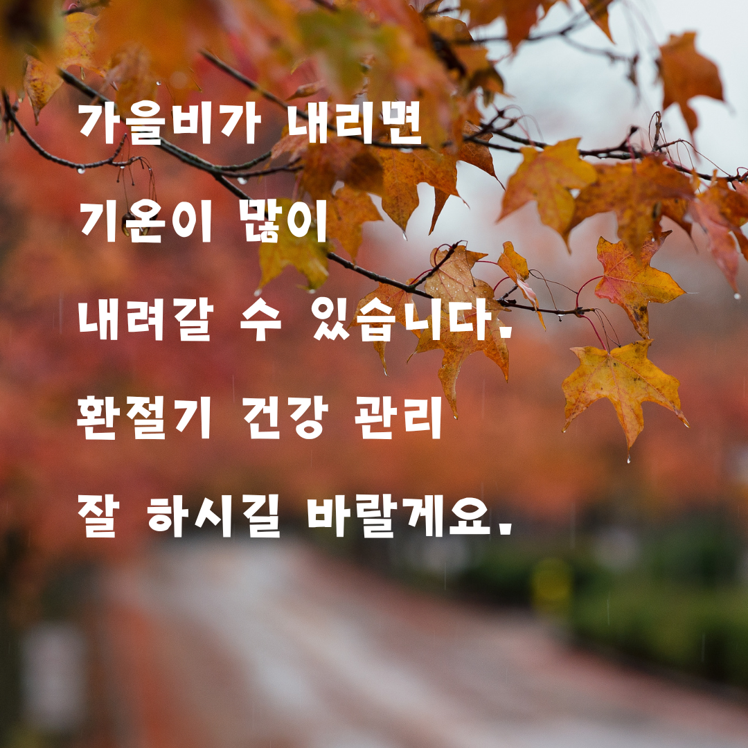 가을비 내리는 날 인사말 이미지 문구 모음