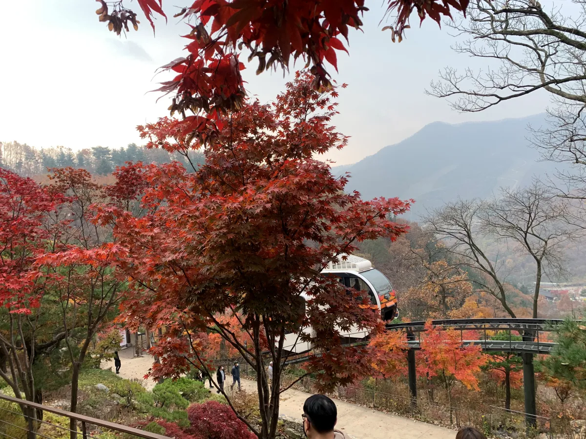 서울근교-경기도-단풍명소-드라이브-갈만한곳-추천(수목원,-화담숲)