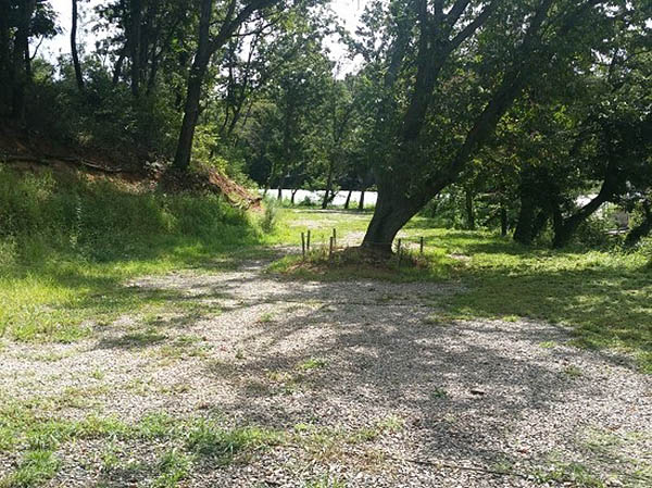 파주 느티나무그늘아래 캠핑장 소개