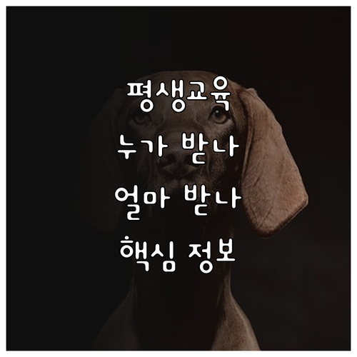 강원 장애인 평생교육이용권 2025:..