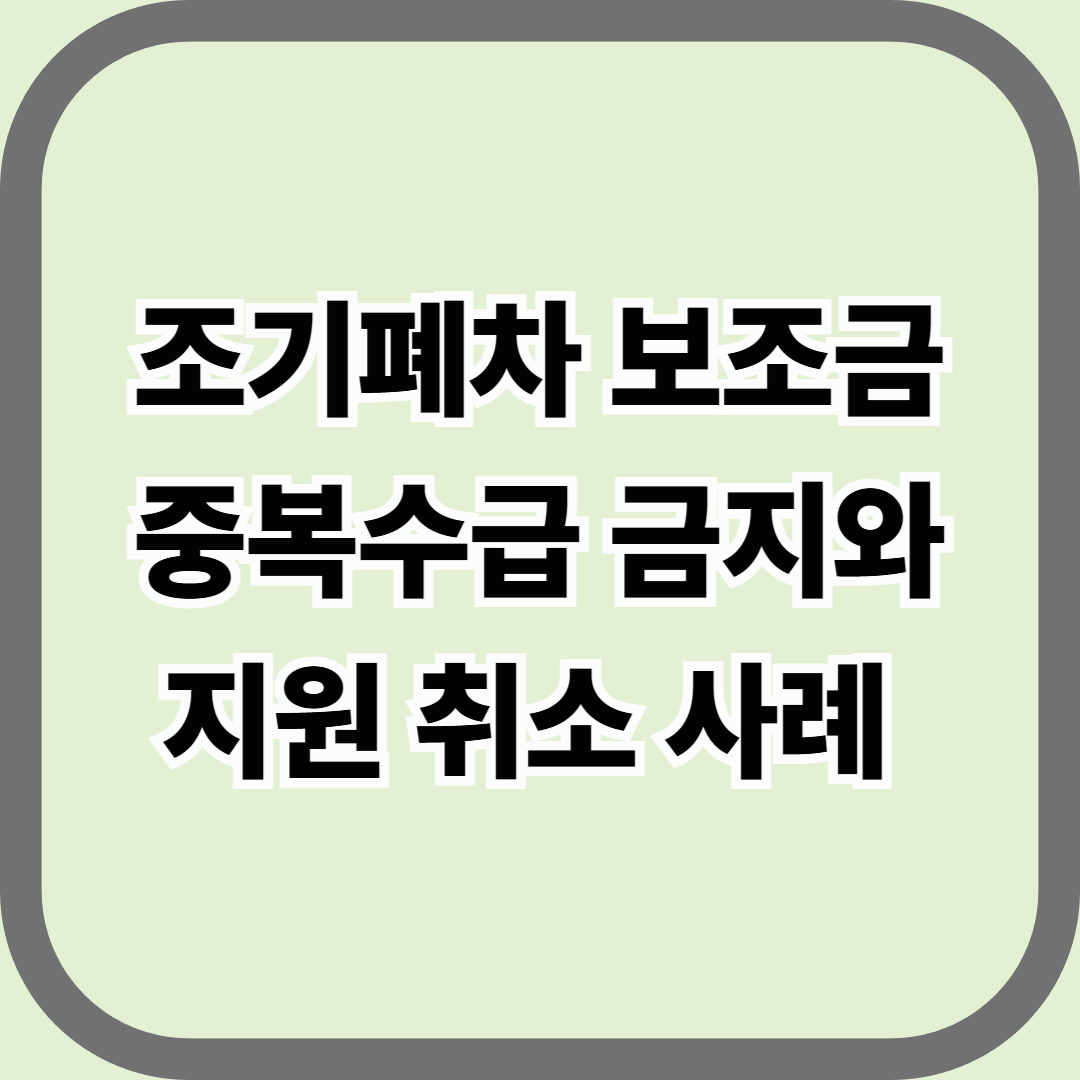 조기폐차 보조금 중복수급 금지와 지원 취소 사례 — 환수당하지 않으려면 반드시 알아야 할 사실