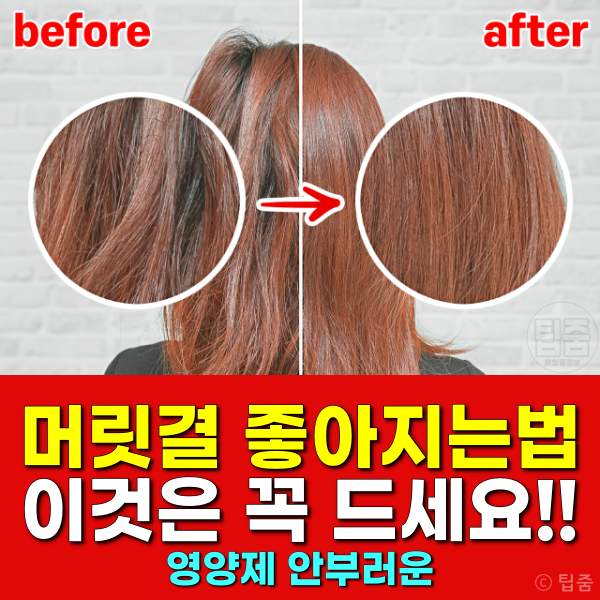 머릿결 좋아지는법,머릿결 좋아지는 음식 영양제,팁줌