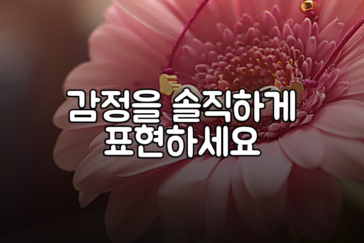 감정을 솔직하게 표현하세요