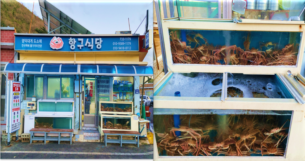 영덕-대게-가성비-맛집,-축산항-항구식당