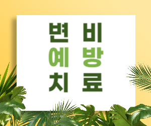 변비 예방 치료