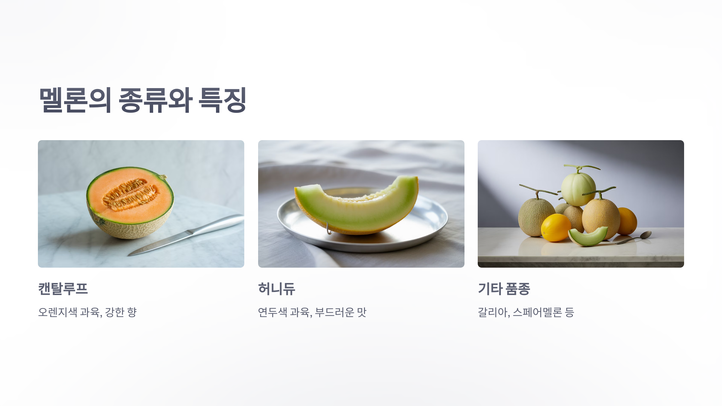참조-멜론-과일-3