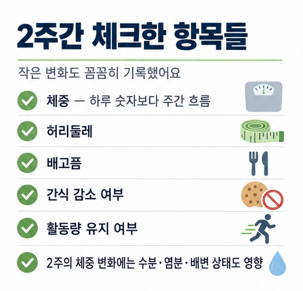 2주 동안 체중 허리둘레 배고픔 간식 활동량을 함께 확인하는 다이어트 변화 기록표