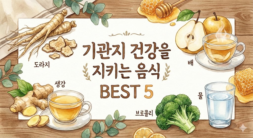 기관지에 좋은 음식
