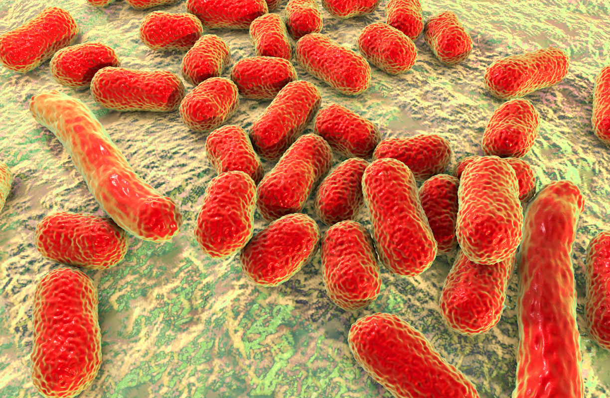 장내 미생물을 이용한 치료제를 개발중이다