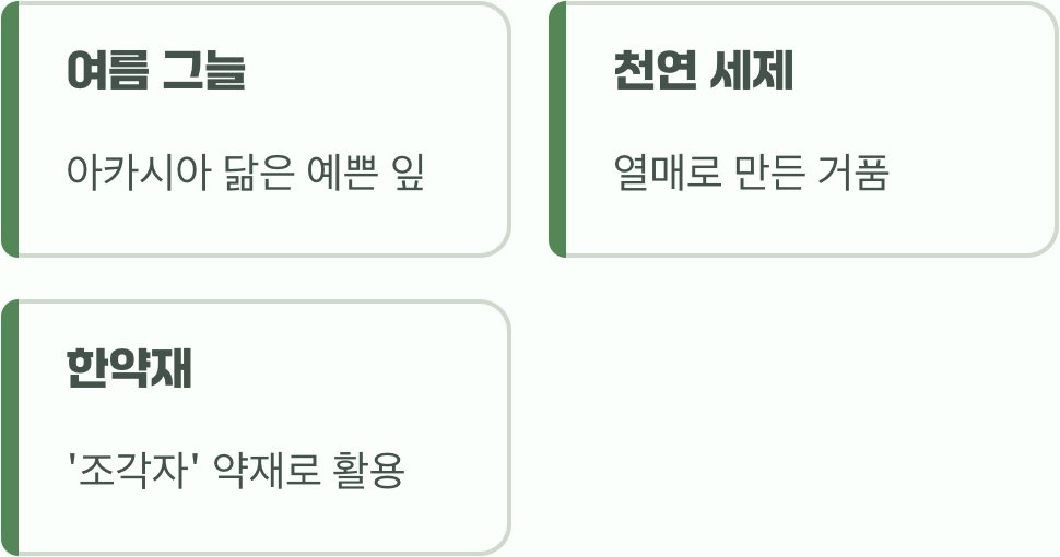 가시 뒤에 숨겨진 반전 매력