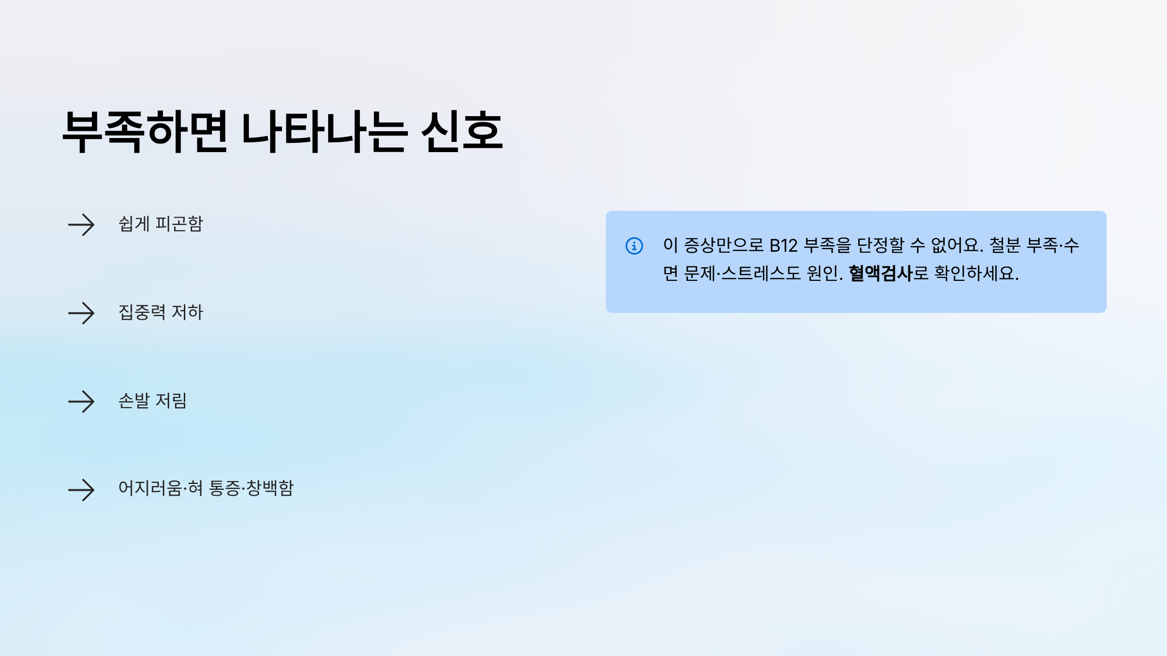 비타민 B12가 많은 음식