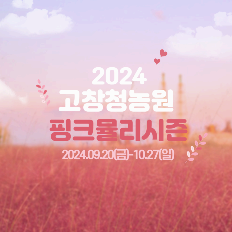 고창청농원 핑크뮬리 축제 행사 기간 입장료 꽃축제 주요 프로그램
