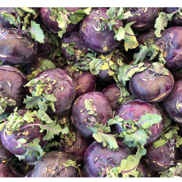 콜라비 효능│콜라비 효능 알고 드세요!