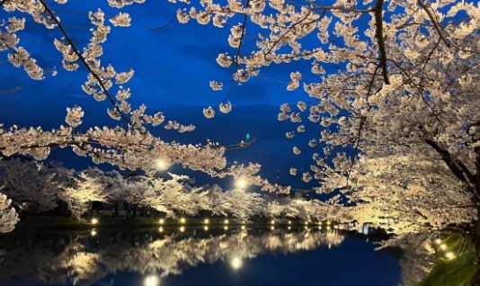 일본 벚꽃 여행지 추천 히로사키 공원 방문 최적기, 개화 예상시기, 가는방법