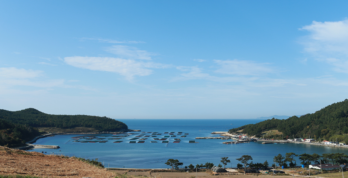 완도 청산도