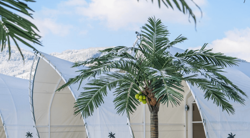 트라움 풀빌라 외부 전경