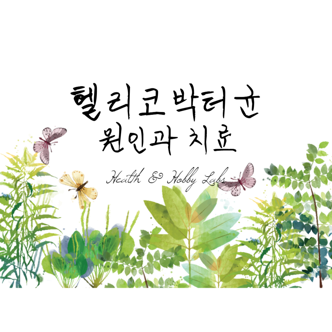 헬리코박터균 원인과 치료