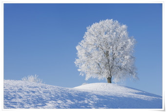 대성 보일러 온도조절기