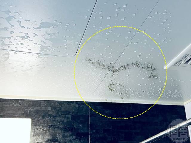욕실 천장 곰팡이 제거 샤워 환풍기 켜기 결로
