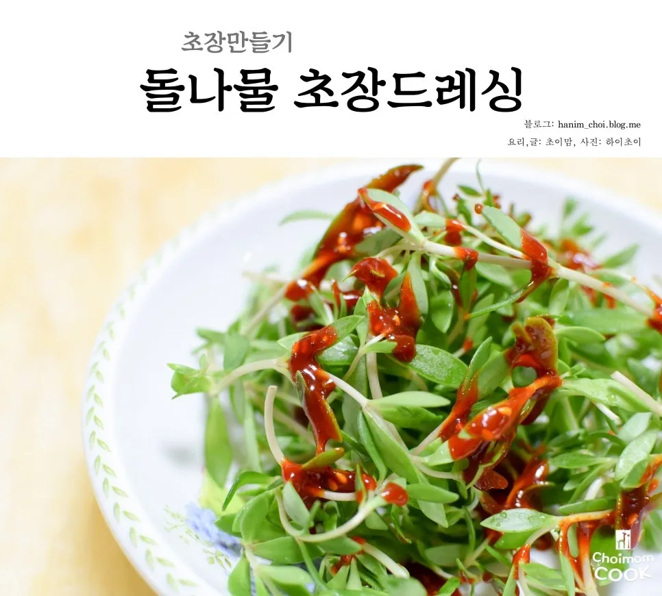 초장 맛있게 만드는 법 황금레시피_7