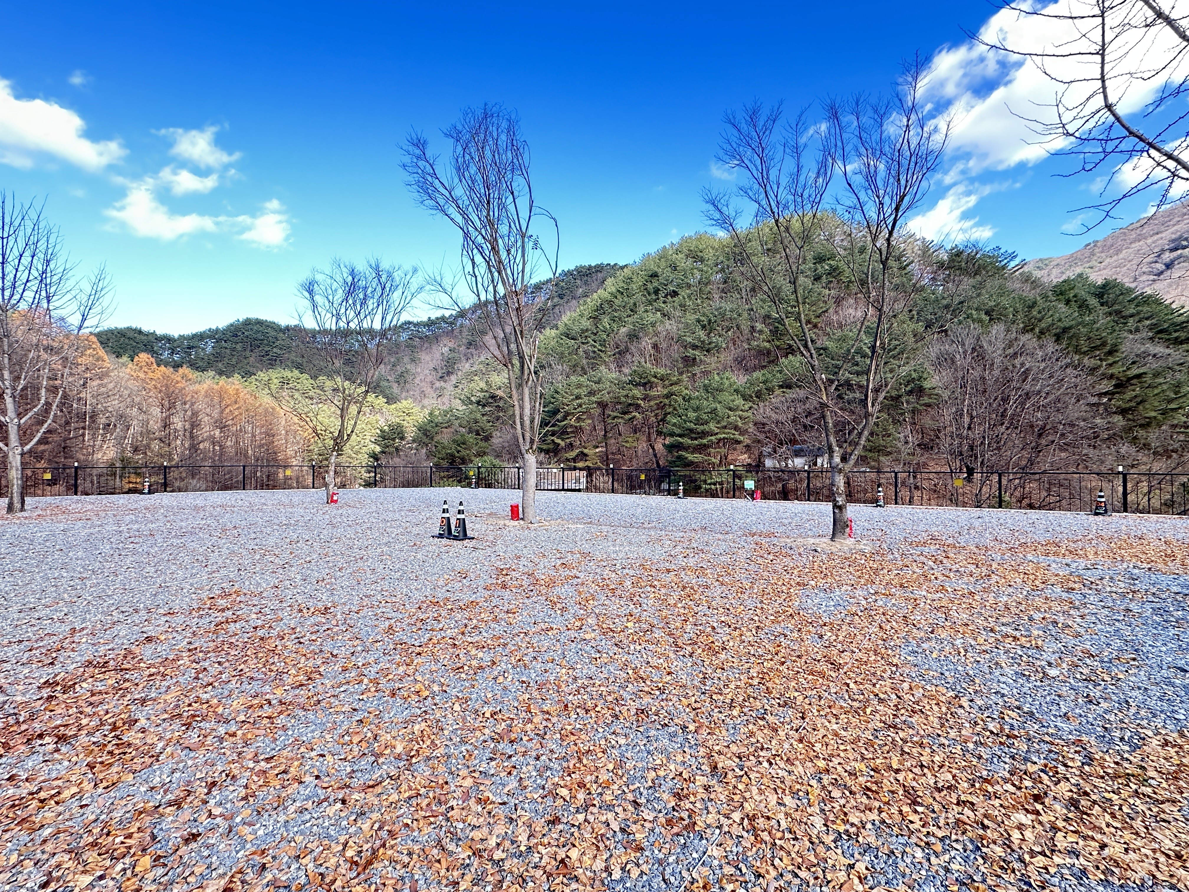 상단 사이트 전경