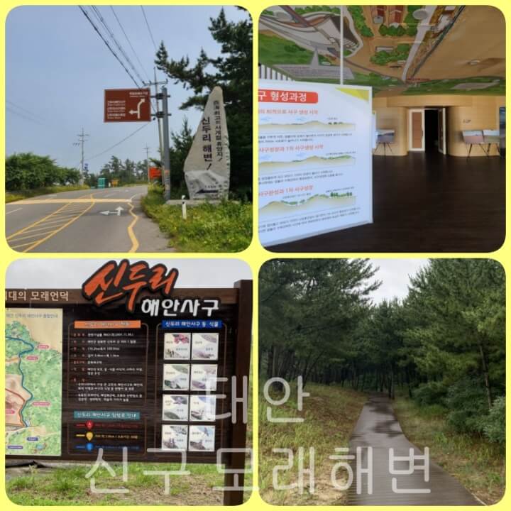 태안 신두사구