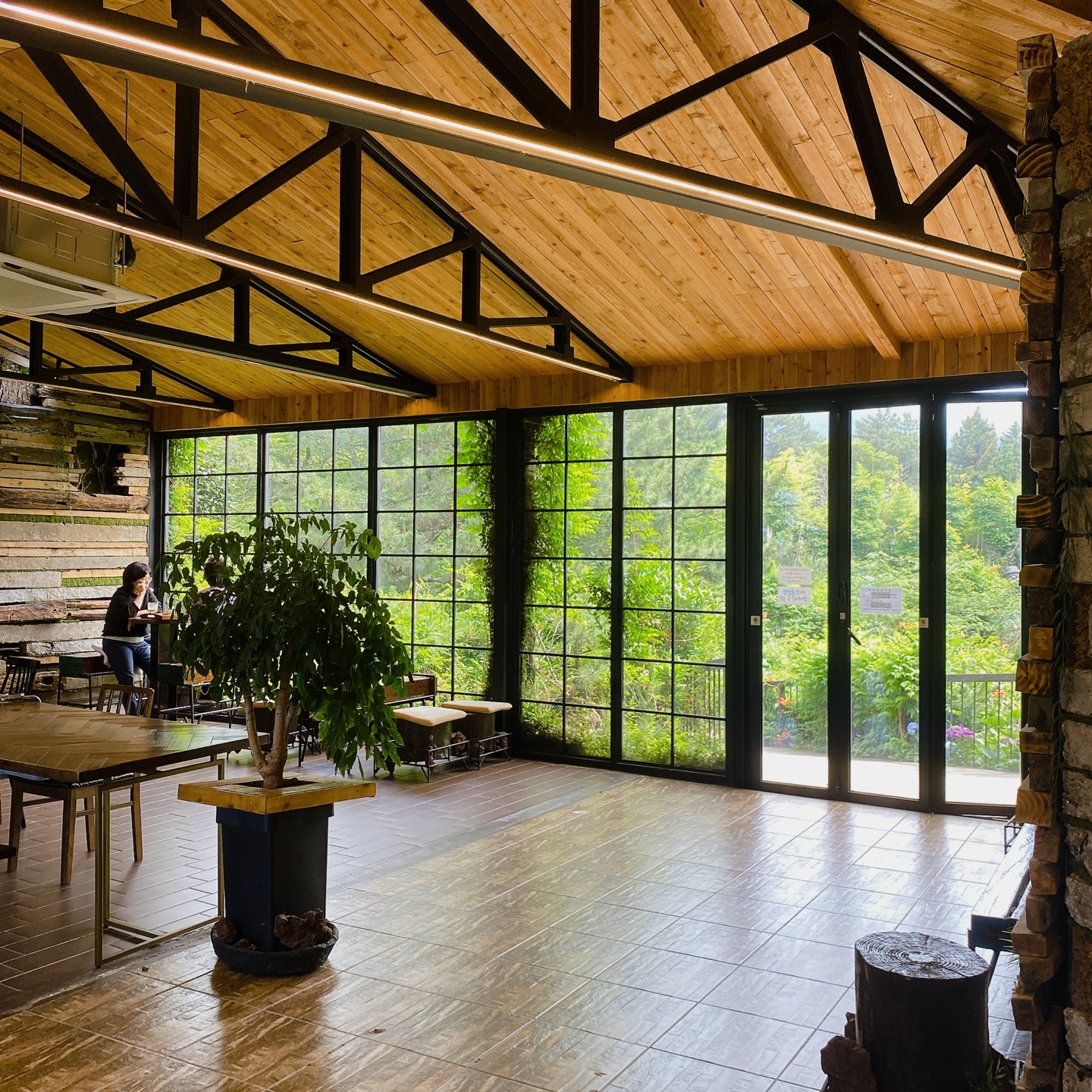 제주 노형동 러브랜드 정원카페 미스틱3도 피크닉 한라봉 흑돼지