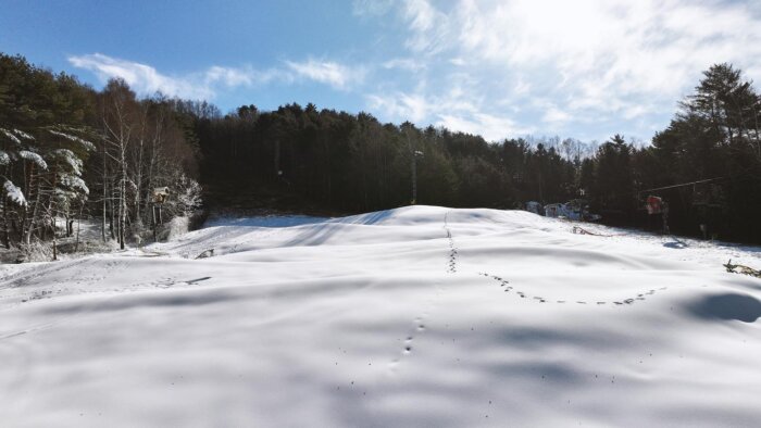 2023-2024 국내 스키장 개장일