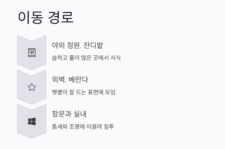 러브버그