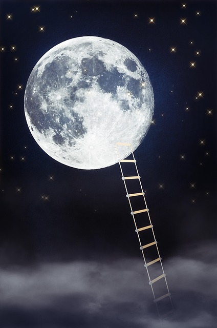 모래바람이 불어오는 꿈