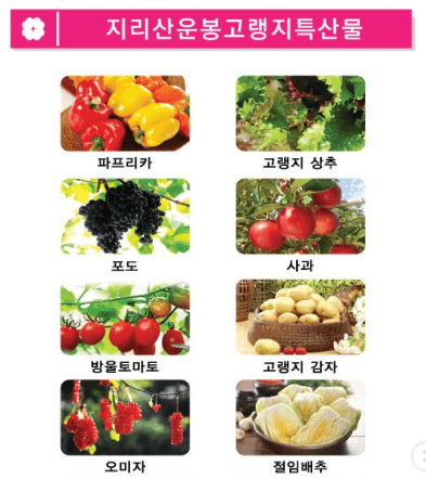 바래봉 철쭉 축제