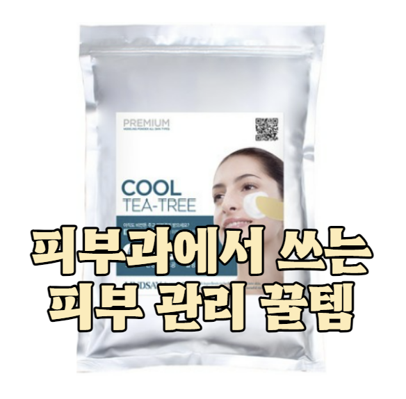 린제이 티트리 모델링팩