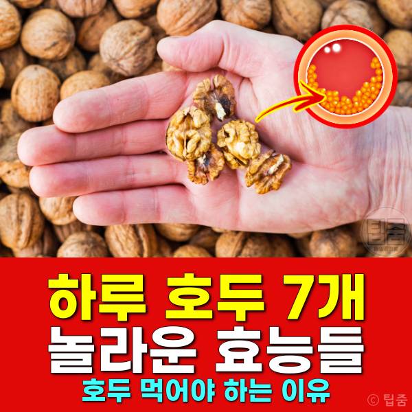 호두 효능,호두 하루 섭취량,하루에 호두 7개