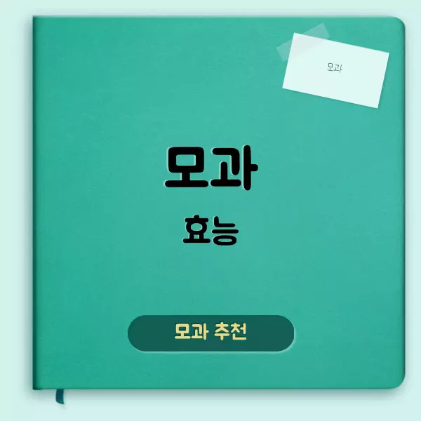 모과 효능에 대하여