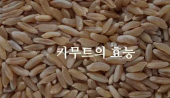 카무트 효소 부작용 효능 먹는법_9
