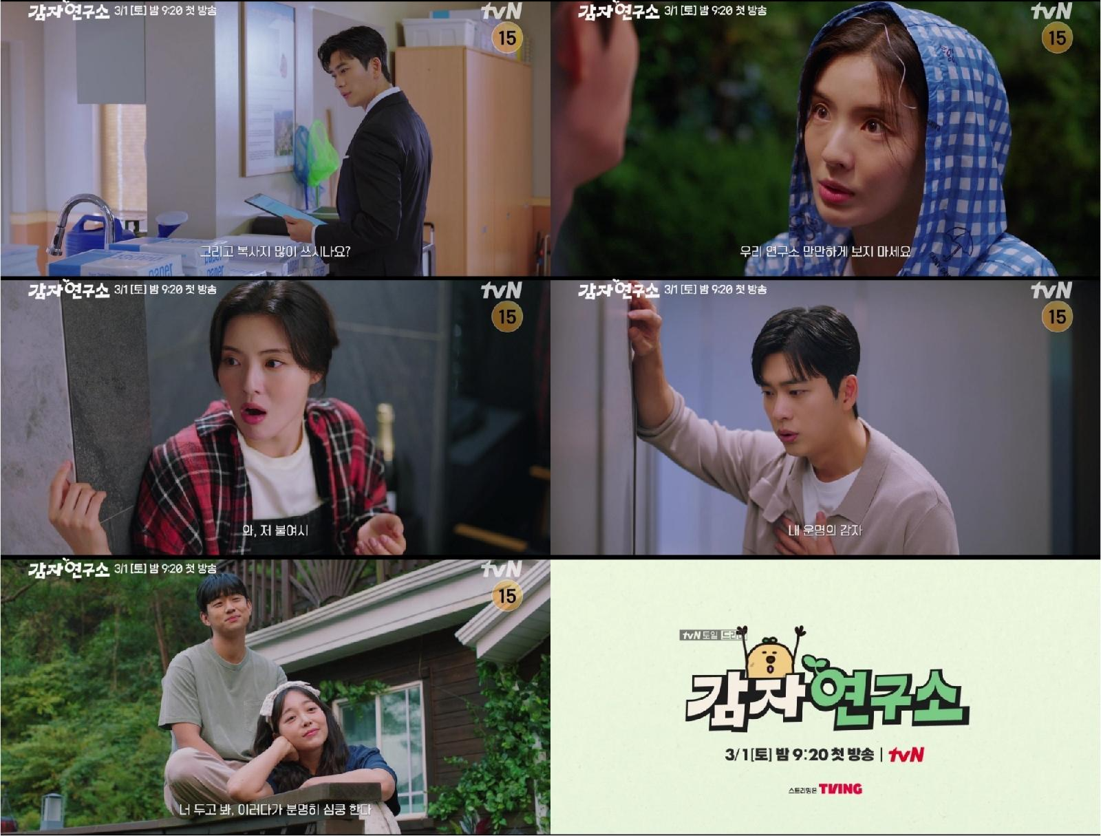 감자세끼