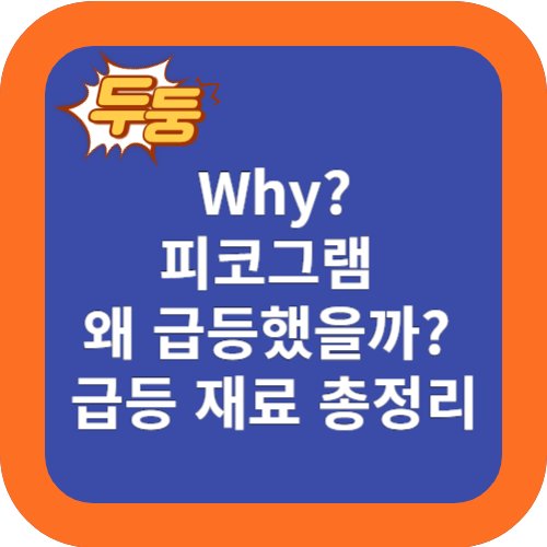 왜? 피코그램 주가 급등 했을까? 급등 재료 정리