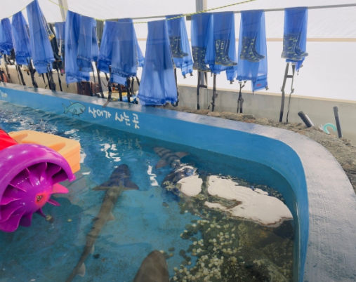 아기랑 제주도 갈만한 곳 5곳 