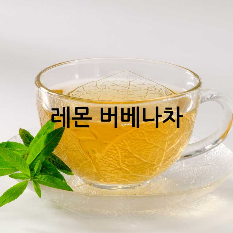 레몬버베나 다이어트