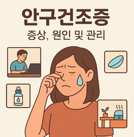 안구건조증 증상은? 렌즈, 인공눈물, 습도관리.