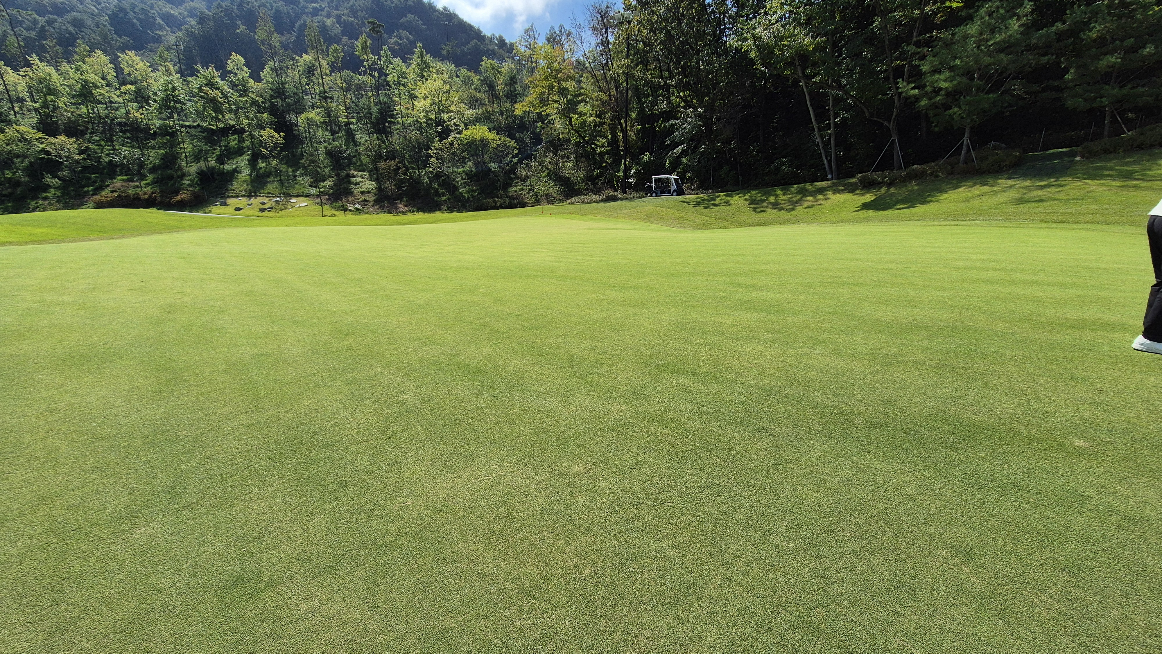 오로라cc 그린 빠르기 및 난이도